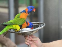 -杭州野生动物世界