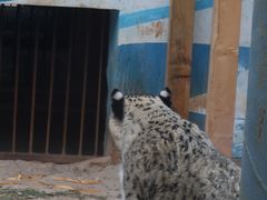 -青藏高原野生动物园