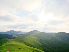 -大姆山草场