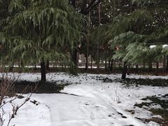 -洛阳市隋唐城遗址植物园