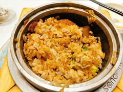 御花园冲浪三宝-御花园酒店(希尔顿店)