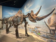 -国家自然博物馆