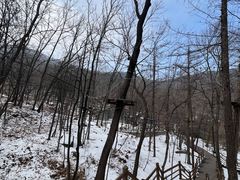 -沂蒙山旅游区云蒙景区(蒙山国家森林公园)