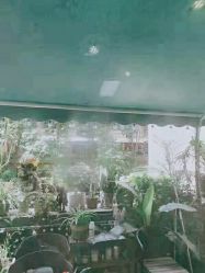 -匿名者纹身学院派·刺青