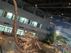 -自贡恐龙博物馆