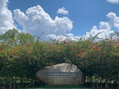 -中国科学院西双版纳热带植物园