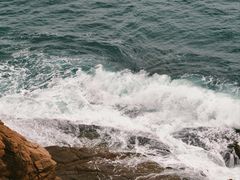 -广东惠东海龟国家级自然保护区