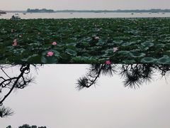 -颐和园