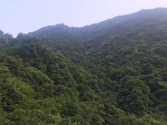 -银瓶嘴森林公园