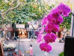 -Alimentari早午餐(安福路店)