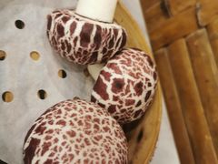 -横沥牛庄(总店)