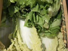 -守柴炉烤鸭(科华中路王府井店)