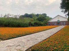 -天目湖涵田度假村