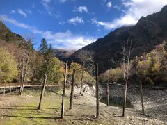 -叠溪松坪沟景区