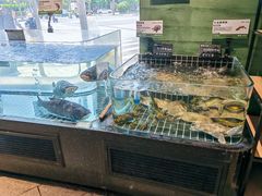 -湘轩·土菜研究院(光大店)