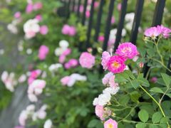 -白塘生态植物园