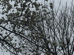 -南京市规划建设展览馆