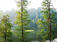 -重庆彩云湖湿地公园