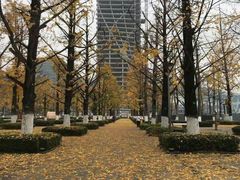 -百林公园-两江幸福广场
