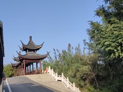 -泗洪洪泽湖湿地景区