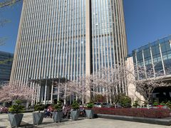 -无锡新湖铂尔曼大酒店