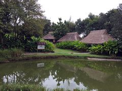 -大象粑粑造纸公园