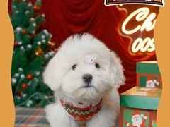 -佛山京华广场MALL