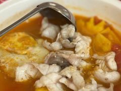 -谭厨中山传家菜.乳鸽.脆鲩鱼(华强北中航城店)