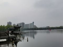 -莲花池公园