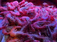 -悉尼塔旋转餐厅