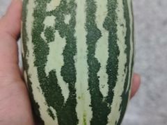 -味多美蛋糕(六里桥店)