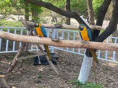 -哈尔滨北方森林动物园