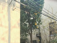 -张乐平故居