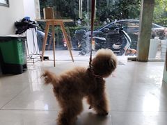 -佳雯宠物医院·皮肤科·内外科(春晓路分院)