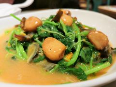 -莆田餐厅PUTIEN(三里屯店)