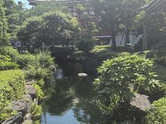 -浅草寺