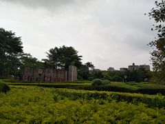 -大屏嶂森林公园