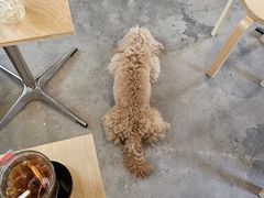 -坊间咖啡馆(贝岗店)