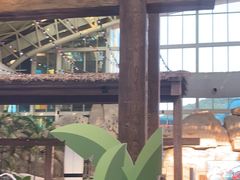 -杭州开元森泊度假乐园