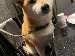 -捞王猪肚鸡火锅(财富中心店)