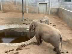 -西霞口神雕山野生动物世界