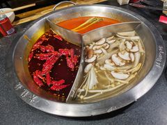 -大龙燚火锅(春熙店)