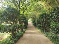 -石老人观光园