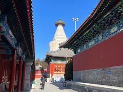 -妙应寺白塔