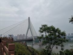 -大渡口区义渡公园