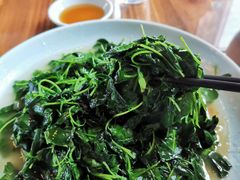 酒香草头-双塔老饭店