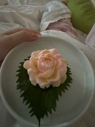 -星摇篮月子中心(市妇幼店)