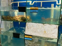 水产区-胖大嫂渔家排档·全海景餐厅(渔村店)