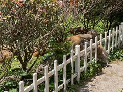 -黔灵山公园