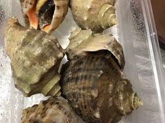 -二子海鲜大排档(太阳城店)